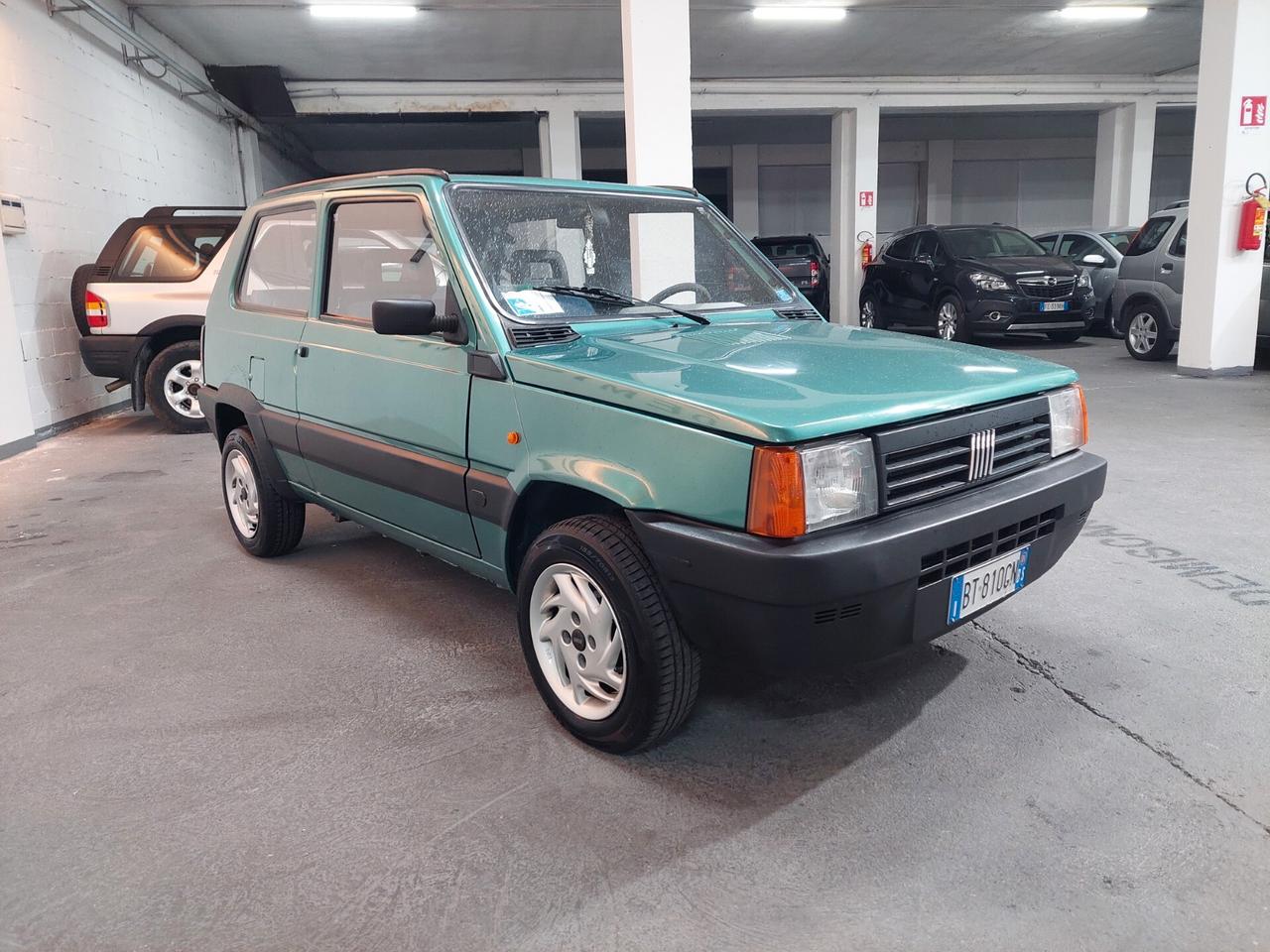 Fiat Panda 1100 i.e. cat Young