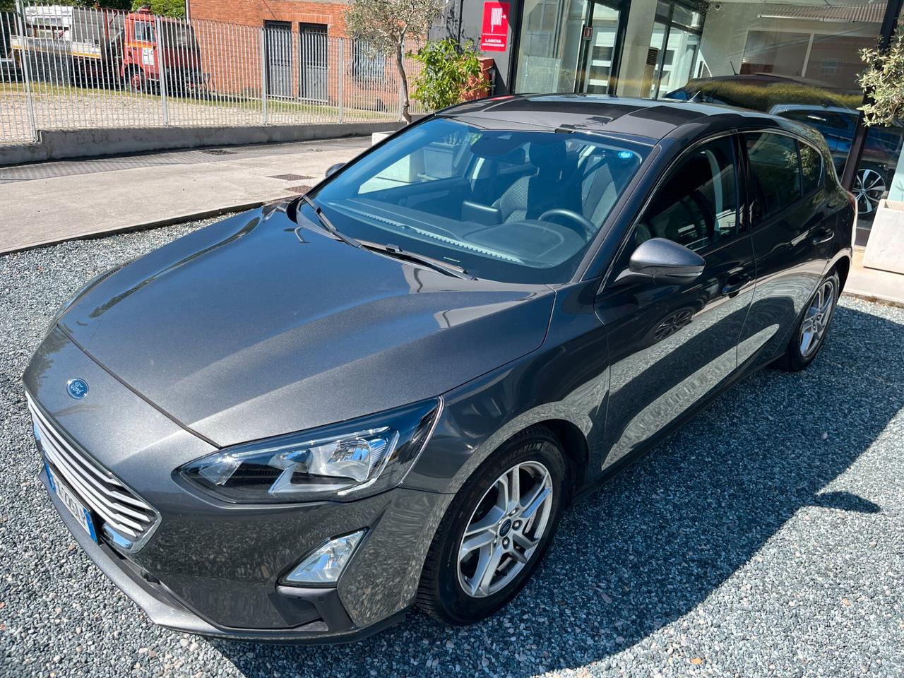 Ford Focus 1.5 EcoBlue 120 CV 5p. Business