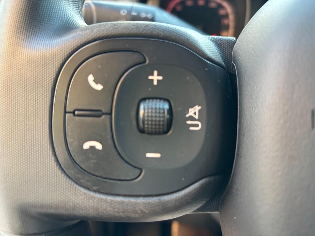 Fiat Panda 1.2 City Cross- 2020