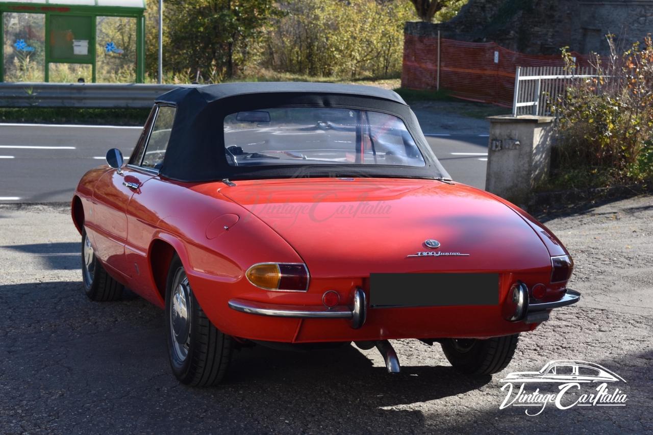 Alfa Romeo Duetto “Osso di Seppia”