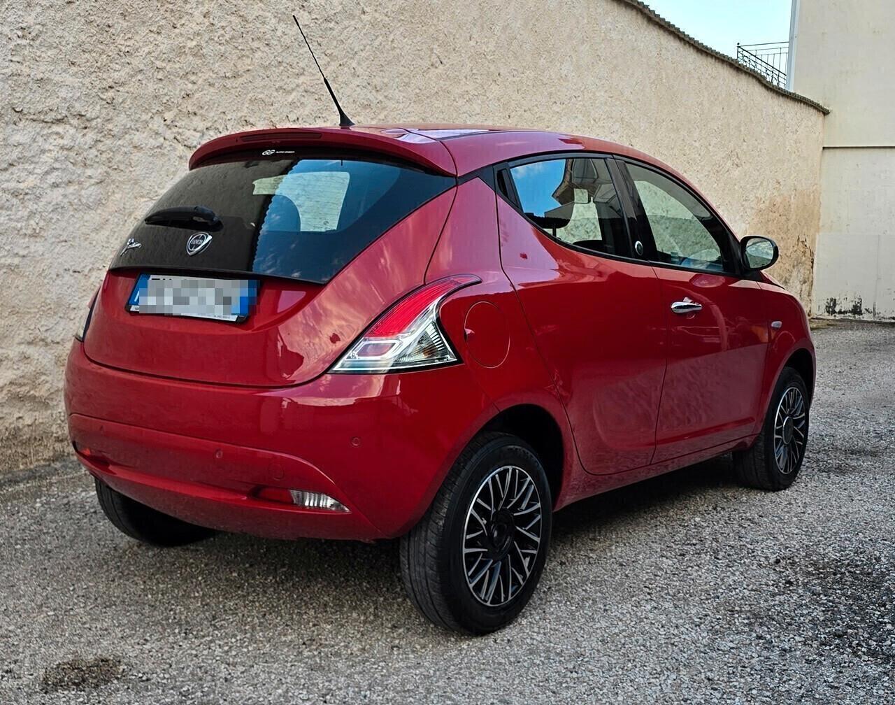 Lancia Ypsilon Gold 900Turbo 85cv 5 porte Ecochic