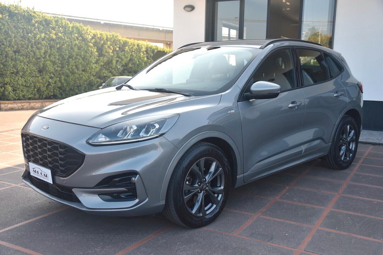 Ford Kuga 2.0 EcoBlue Hybrid 150 CV 2WD ST-Line