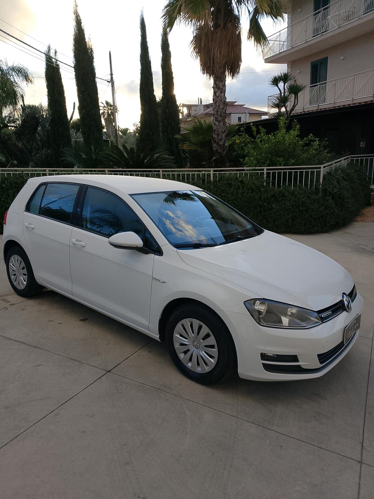 Volkswagen Golf Business 1.4 TGI 5p. Highline BlueMotion