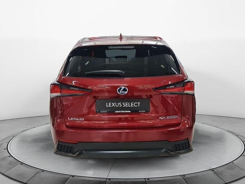 Lexus NX Hybrid 4WD F-Sport