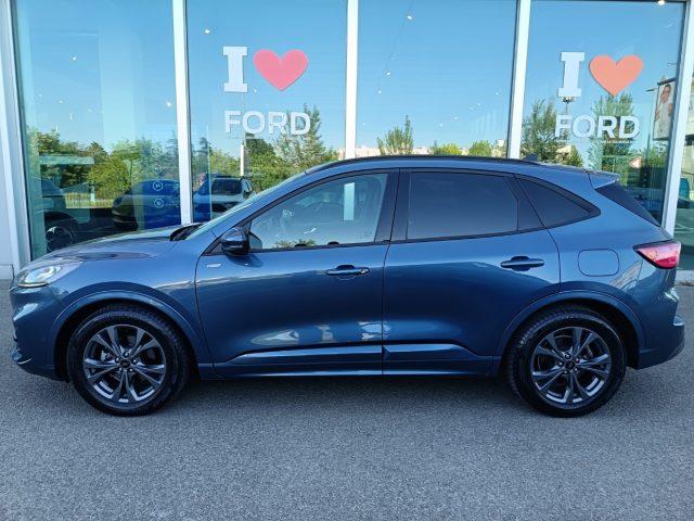 FORD Kuga 2.0 EcoBlue 120 CV aut. 2WD ST-Line X