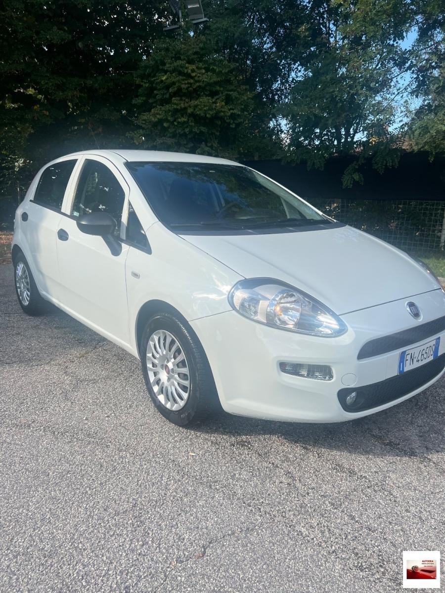 FIAT - Punto - 1.3 MJT II S&S 95 CV 5p. Street