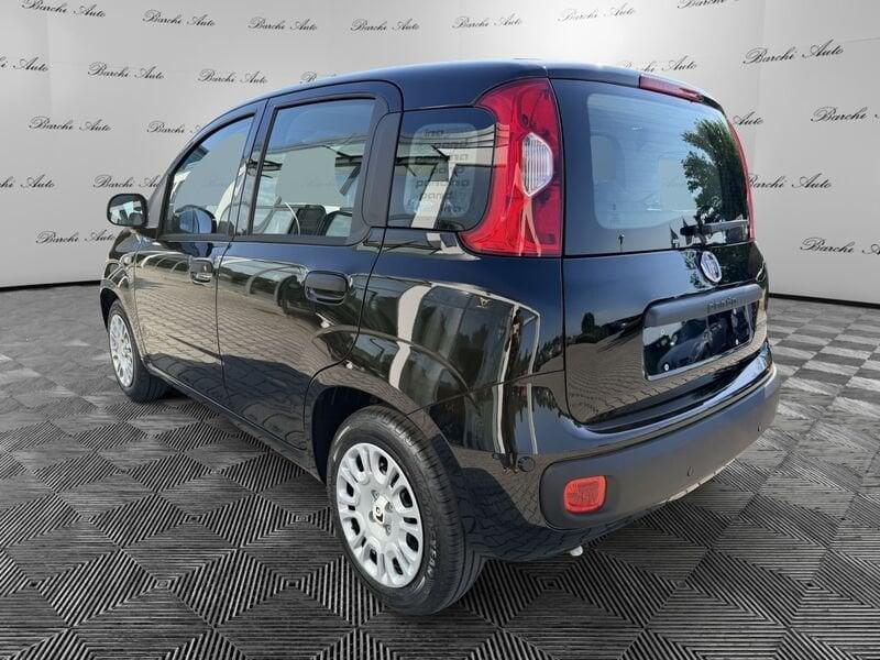 FIAT Pandina Pandina 1.0 firefly hybrid KM0 - Disponibili Versioni Pop e Icon
