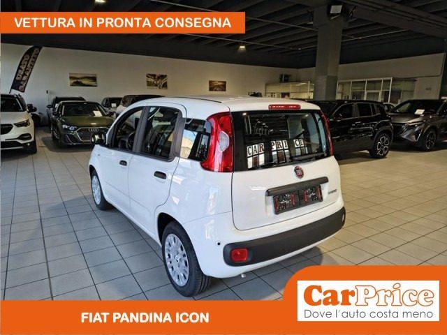 FIAT Pandina 1.0 FireFly 65CV Hybrid Icon (5 Posti)