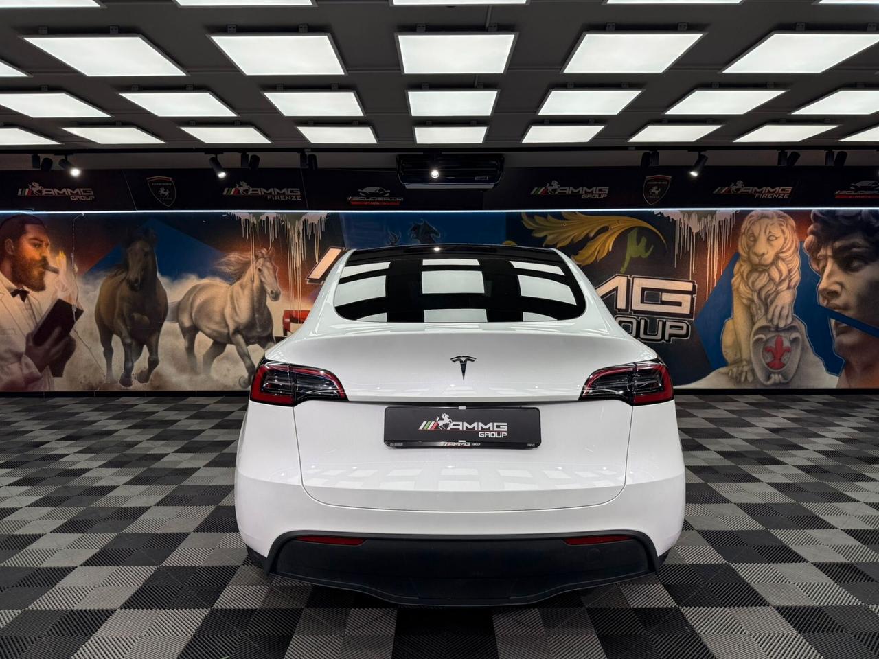 Tesla Model Y RWD (485)