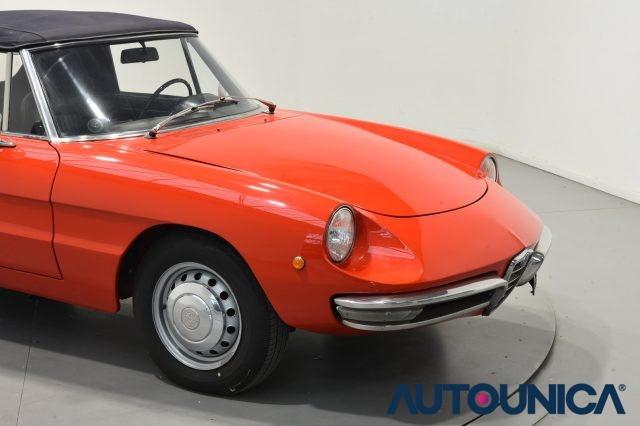 ALFA ROMEO Spider 1300 JUNIOR OSSO DI SEPPIA ASI TARGA ORO