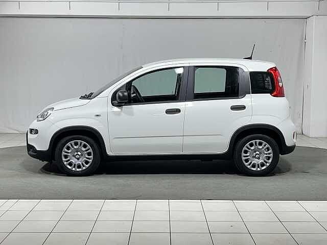 Fiat Panda 1.0 FireFly S&S Hybrid 5 posti KM0