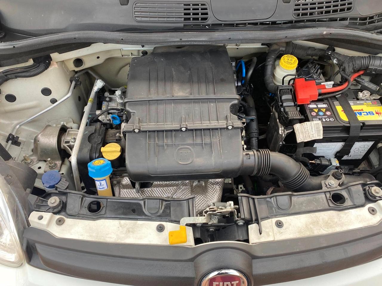 FIAT PANDA 1.2cc IDONEA NEOPATENTATI