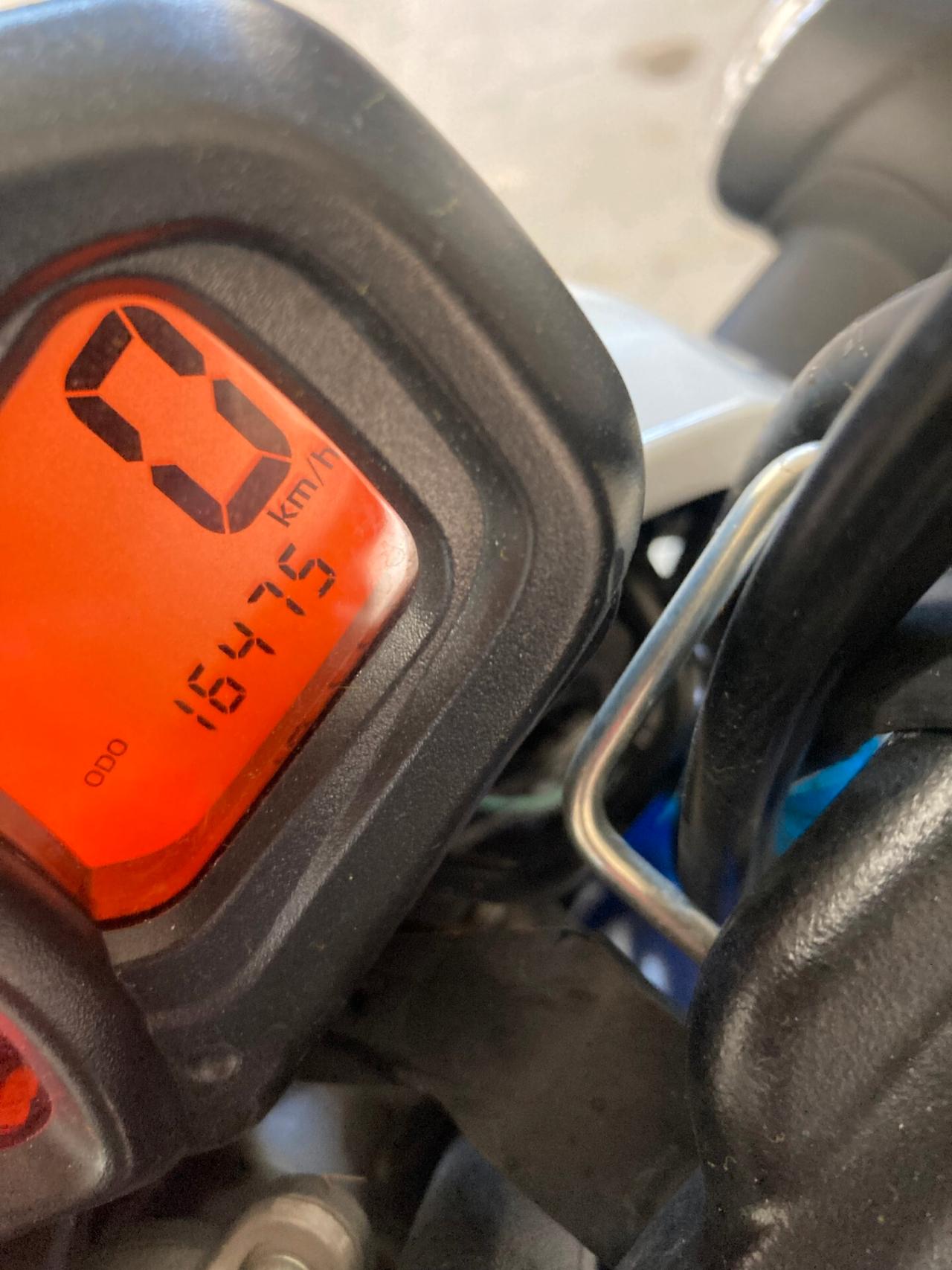 Suzuki Gladius sport