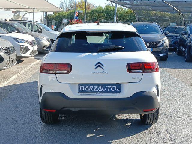 CITROEN C4 Cactus BlueHDi 120 S&S EAT6 Shine