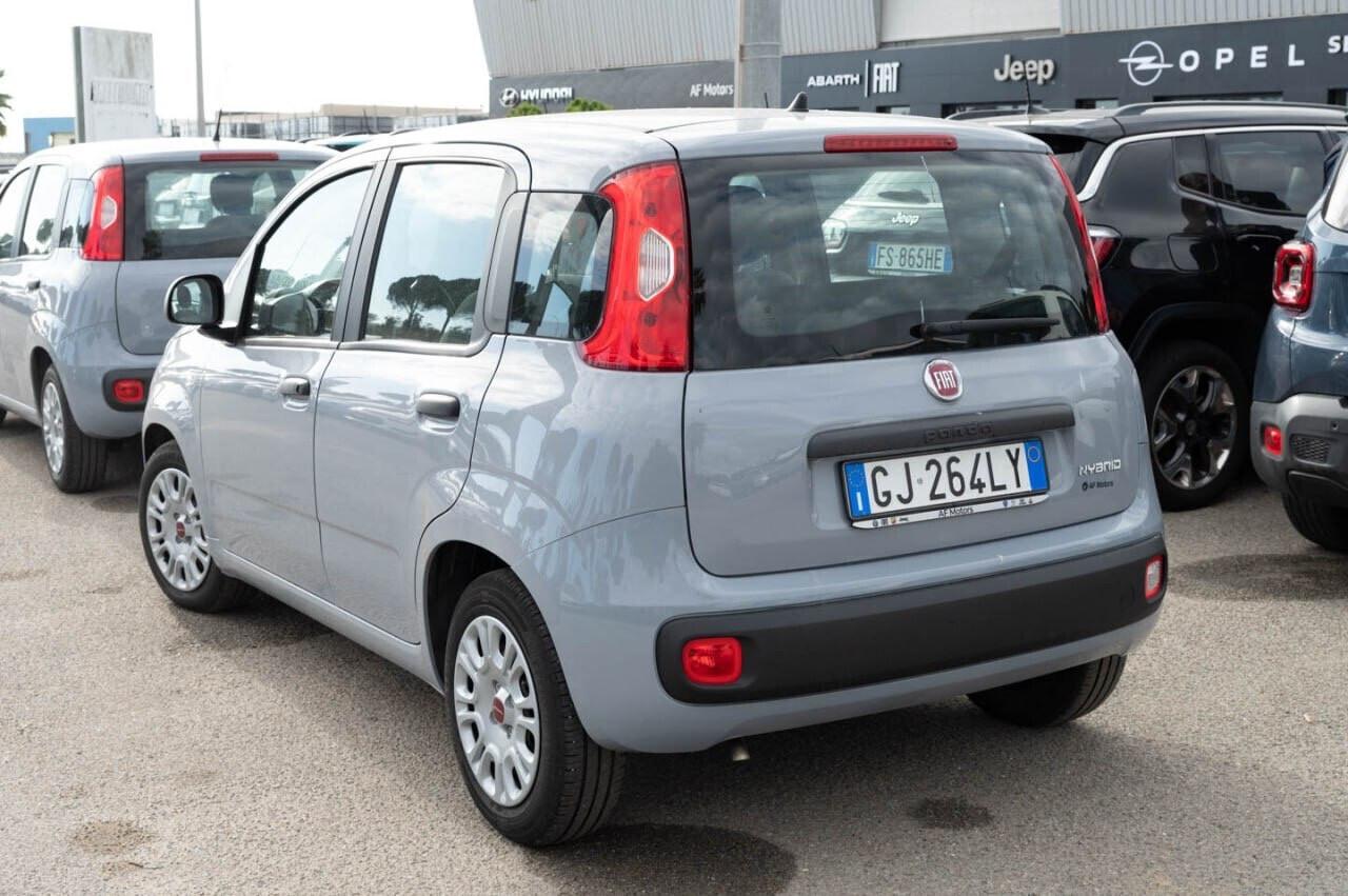 Fiat Panda FIAT PANDA 1.0 FireFly S&S Hybrid 70CV