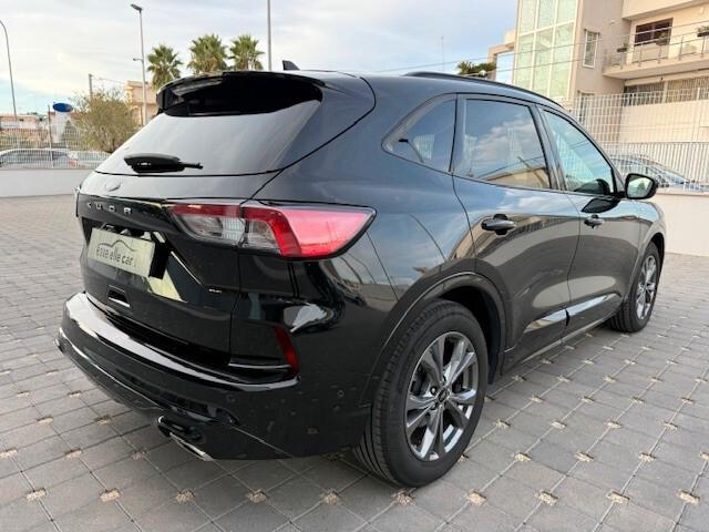 Ford Kuga 1.5 EcoBlue 120 CV 2WD ST-Line X 2020