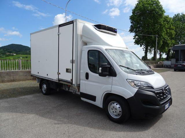 OPEL Movano 35Q Maxi 140hp PLungo Cella-20° DoppiaTemperatur