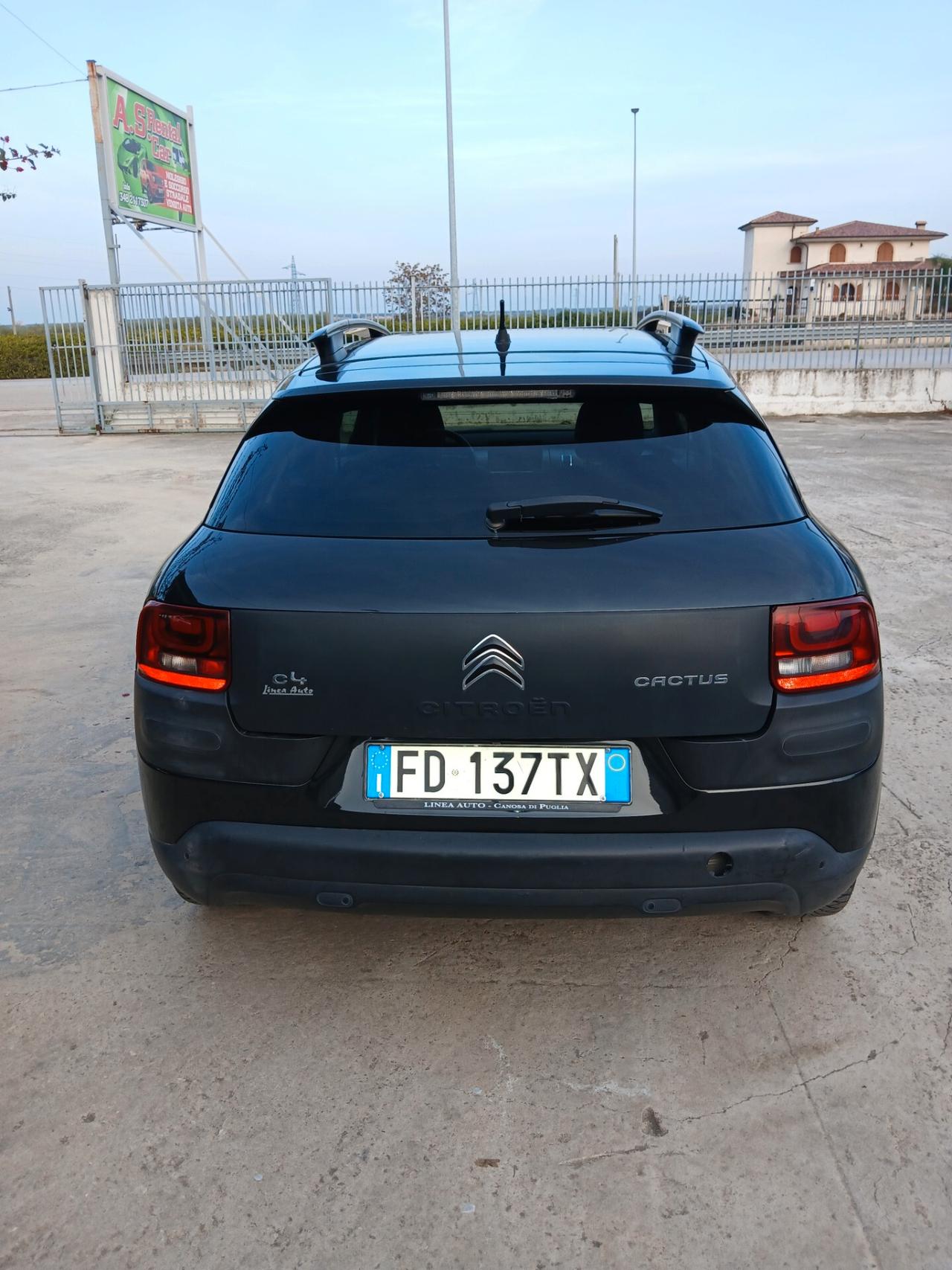 Citroen C4 Cactus BlueHDi 100 Feel