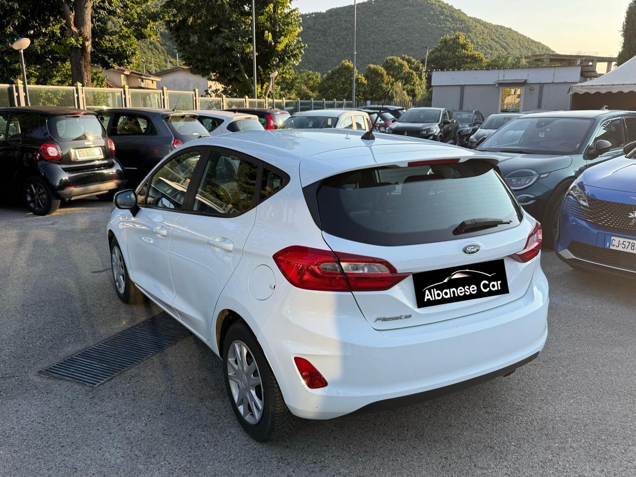 Ford Fiesta 1.5 EcoBlue 5 porte Plus