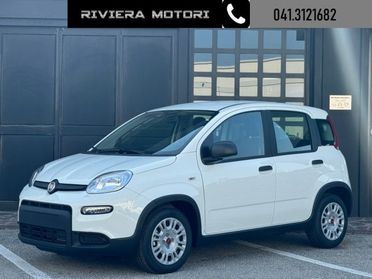 FIAT Panda 1.0 FireFly S&S Hybrid My24 TUA A 99 ?/mese*