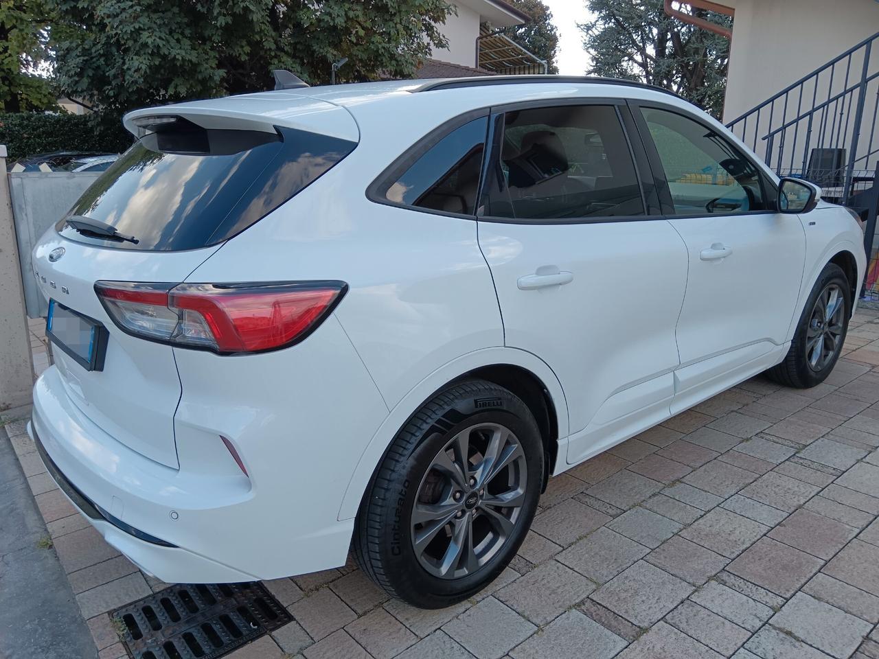 Ford Kuga 1.5 EcoBlue 120 CV aut.ST-Line