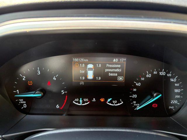 FORD Focus 1.5 EcoBlue 120 CV 5p. Business