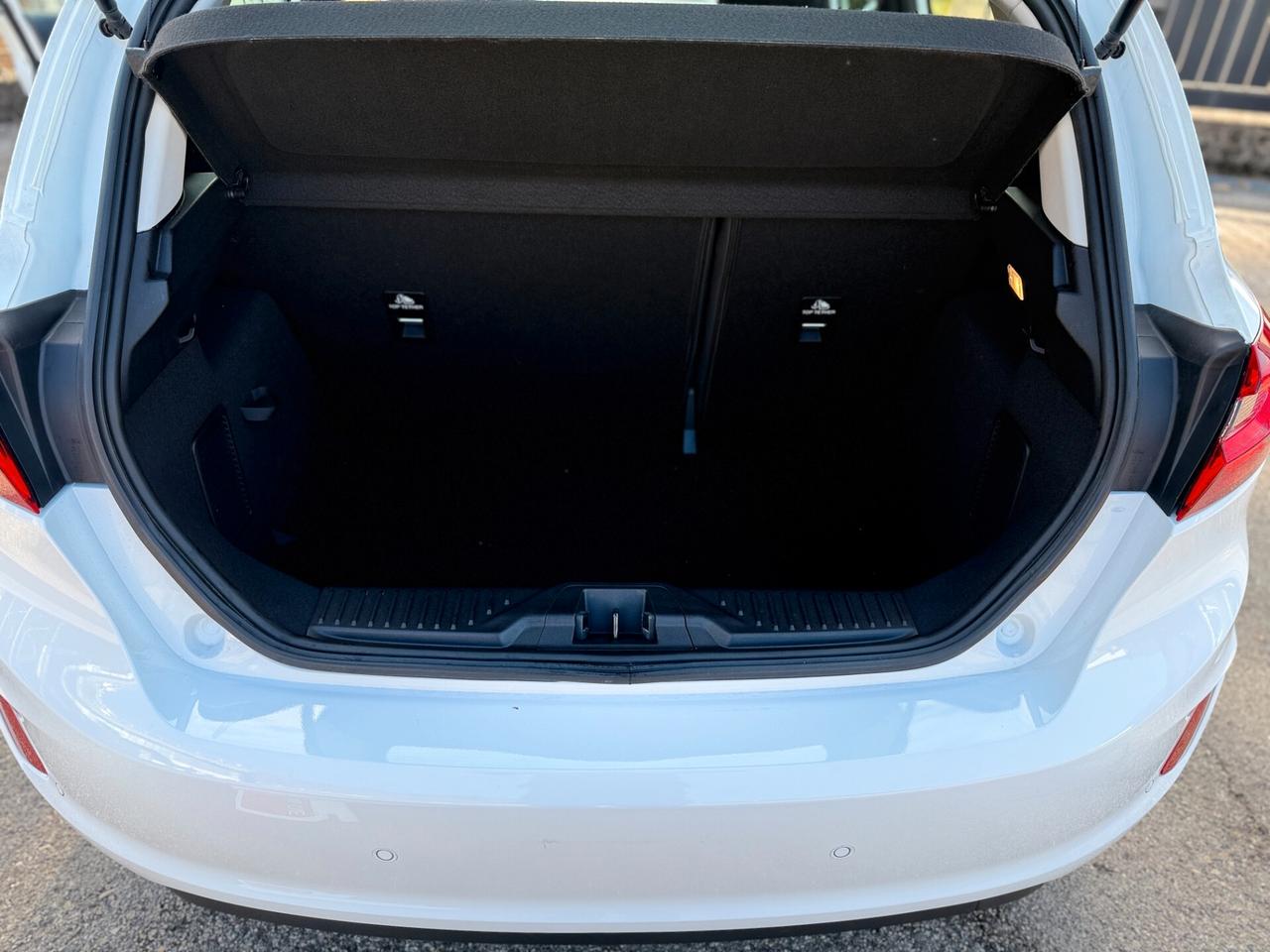 Ford Fiesta 1.5 EcoBlue 5 porte Business 85cv