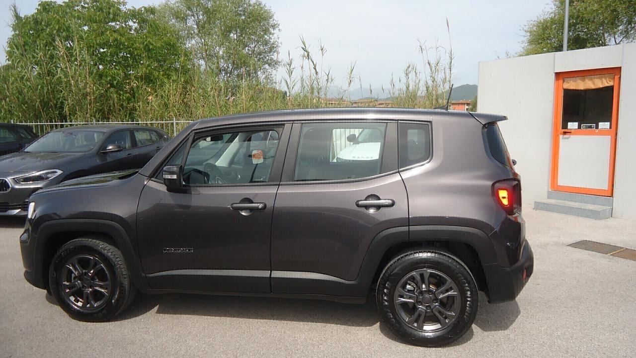 Jeep Renegade 1.6 Mjt DDCT 120 CV Business 2wd