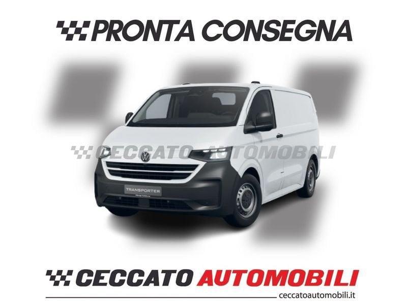 Volkswagen Transp. TRANSPORTER FURG PC81 ANT M6