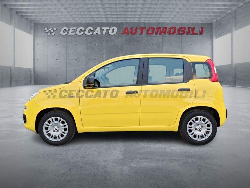 FIAT Panda Panda 1.0 firefly hybrid s&s 70cv