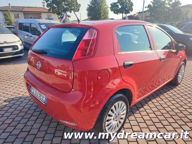 FIAT Punto 1.2 8V 5 porte Young NEOPATENTATI