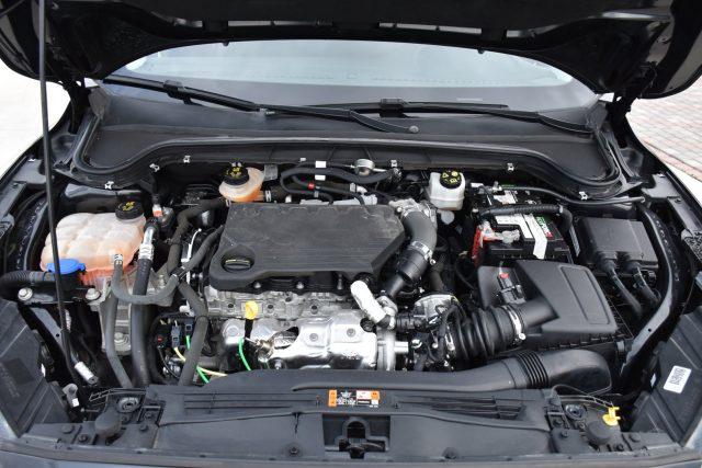 FORD Focus 1.5 EcoBlue 95 CV 5p. Business *Navigatore*