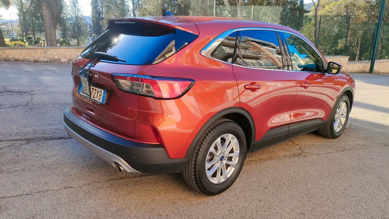 Ford Kuga 1.5 EcoBlue 120 CV aut. 2WD Titanium