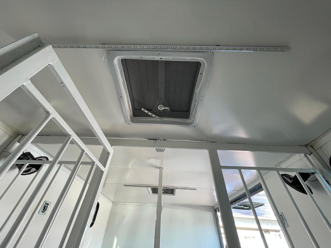 FIAT DUCATO TRASPORTO CAVALLI