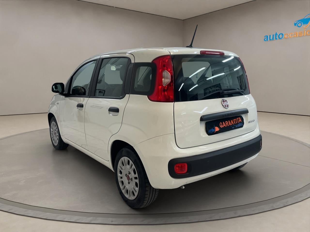 Fiat Panda UNICO PROPRIETARIO - 5 POSTI