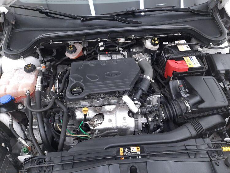 Ford Focus SW Business BR590397 1.5 Diesel 120CV