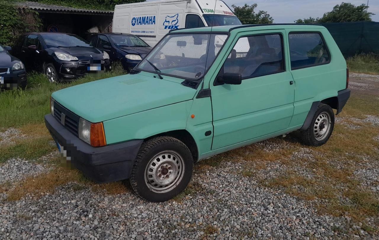 Fiat Panda 900 i.e. cat Young