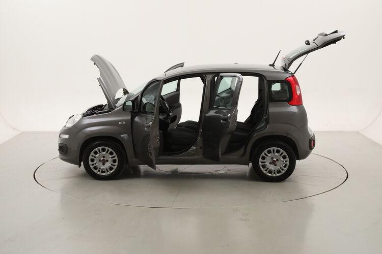 Fiat Panda Easy BZ810759 1.2 Benzina 69CV