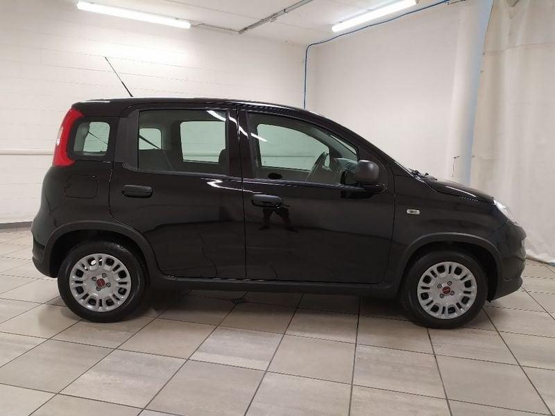 FIAT Panda 1.0 firefly hybrid s&s 70cv