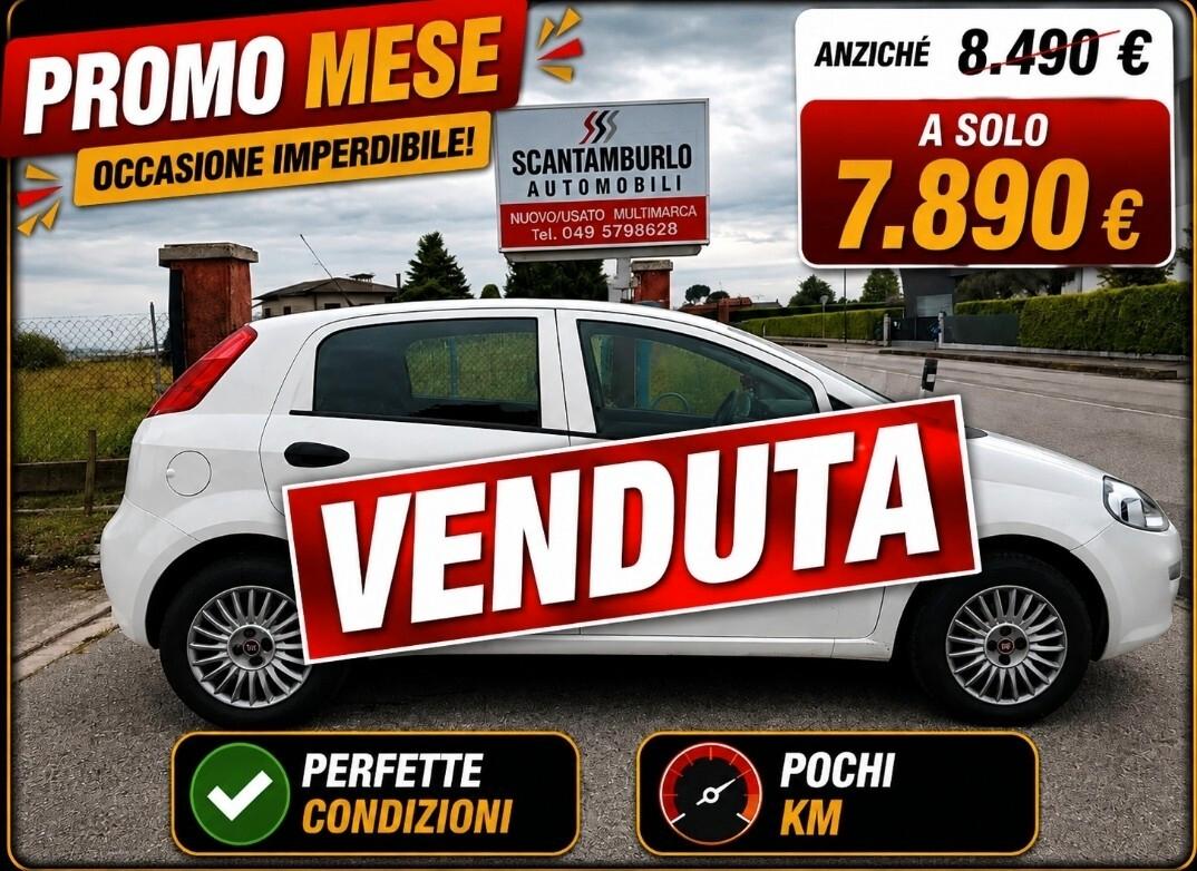 Fiat Punto 1.2 8V 5 porte Street
