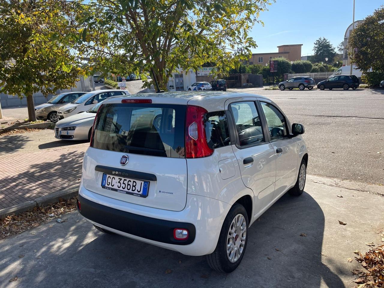 Fiat Panda KM. 34.000 1.2 Easy NEOPATENTATTI