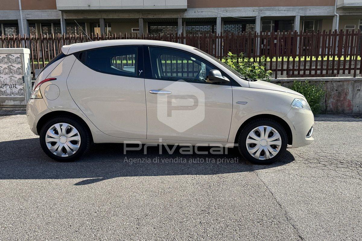 LANCIA Ypsilon 1.2 69 CV 5 porte Gold