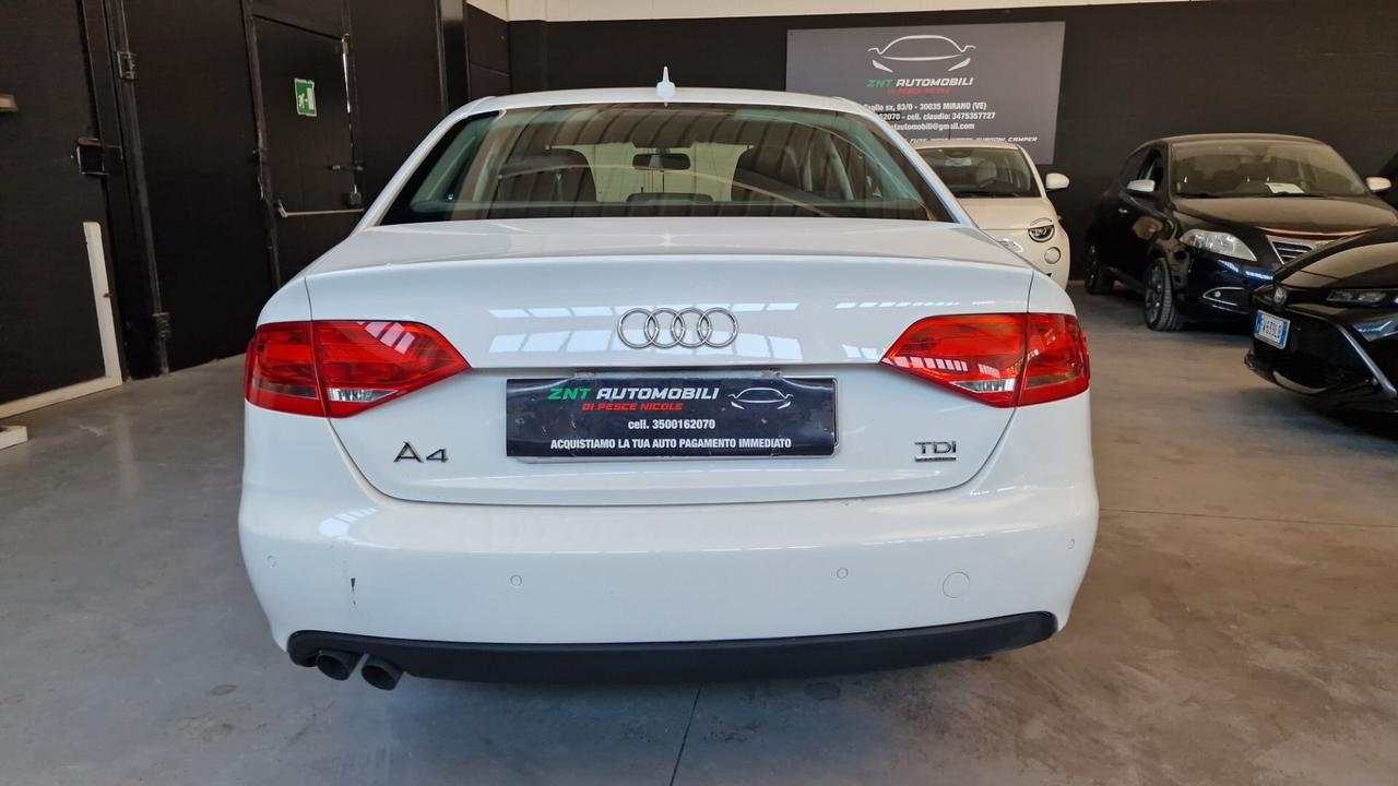 Audi A4 2.0 TDI 170CV F.AP. quattro