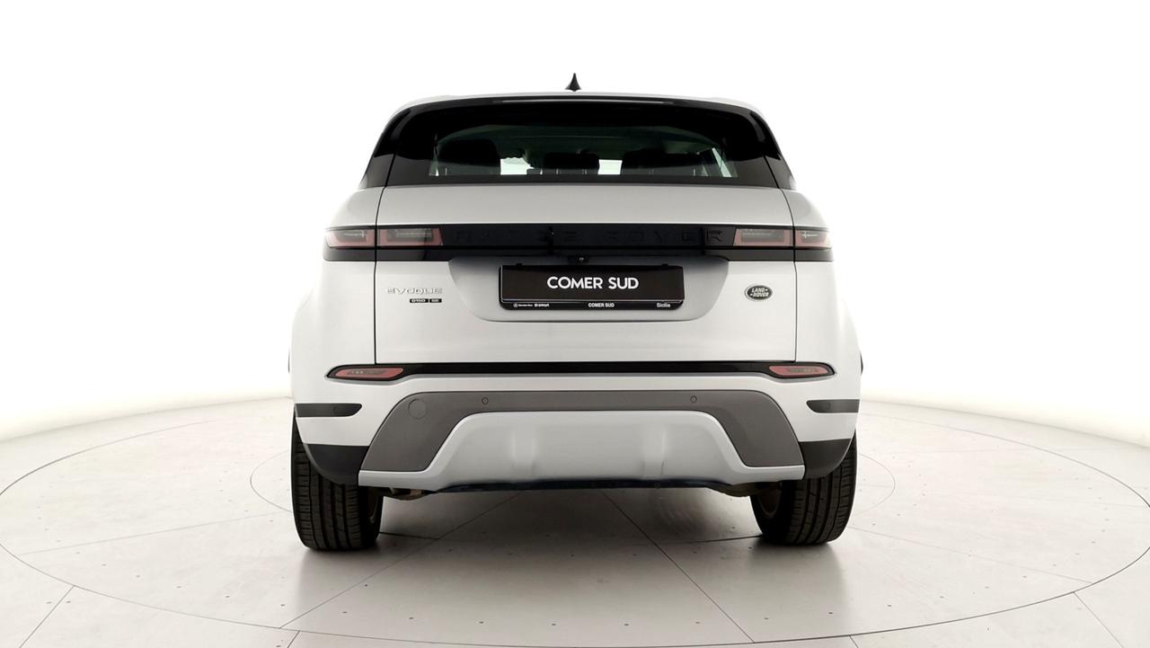 LAND ROVER Range Rover Evoque II 2019 - Evoque 2.0d i4 mhev SE awd 150c
