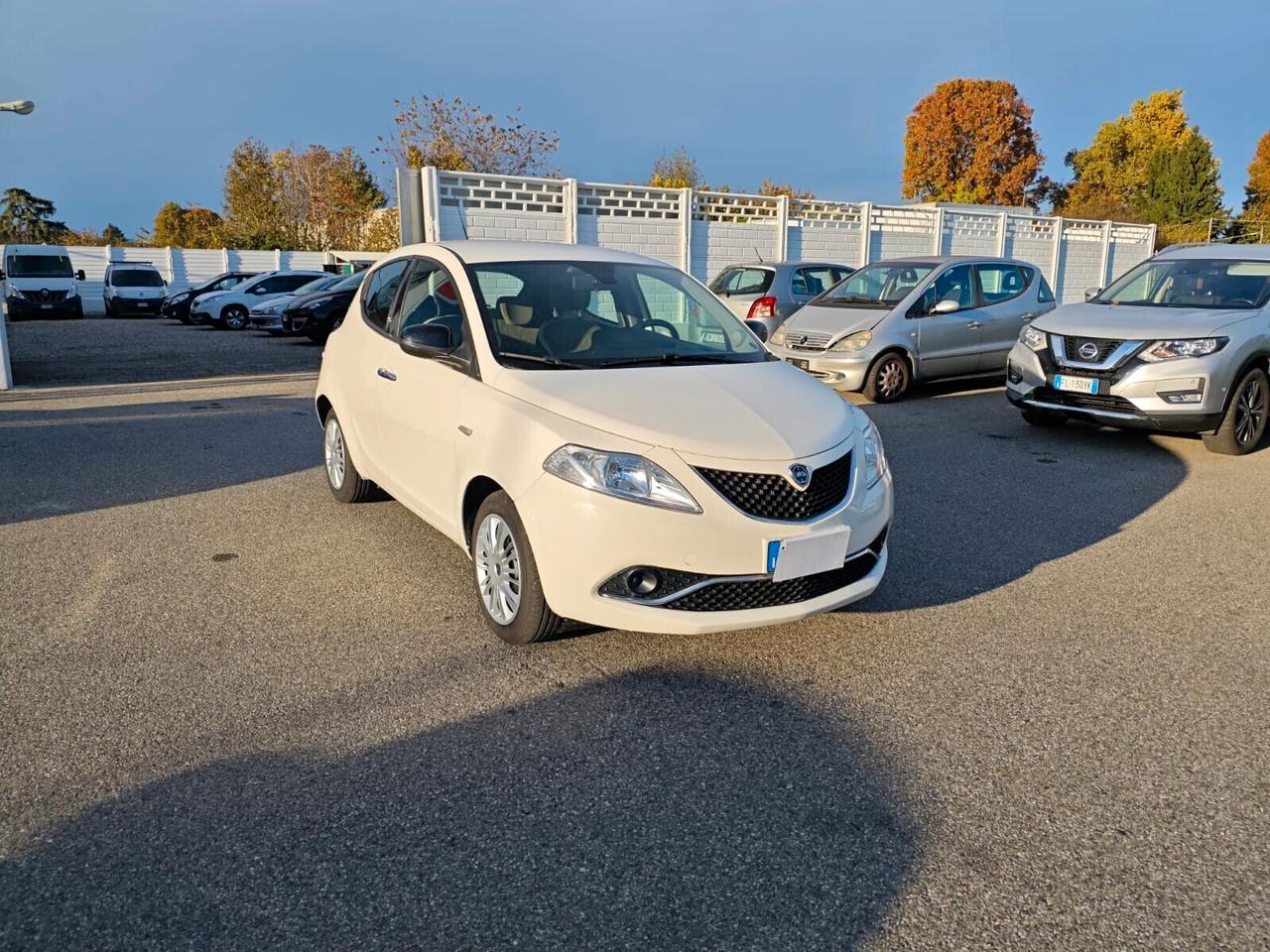 Lancia Ypsilon 1.3 MJT 16V 95 CV 5 porte S&S Gold