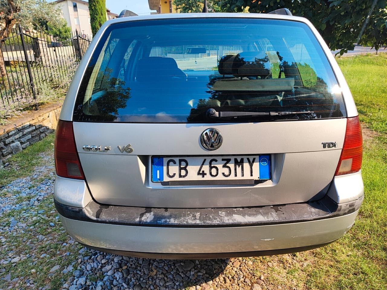 Volkswagen Golf 1.9 TDI 110 CV station wagon