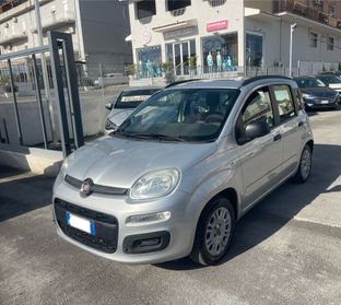 Fiat Panda New 1.2 Easy Come Nuova