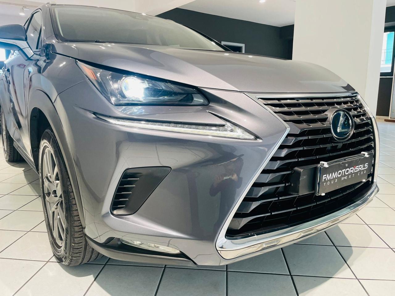 Lexus NX 300h NX Hybrid 4WD Business