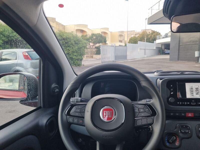 FIAT Panda NEW 1.0 70cv Hybrid Icon