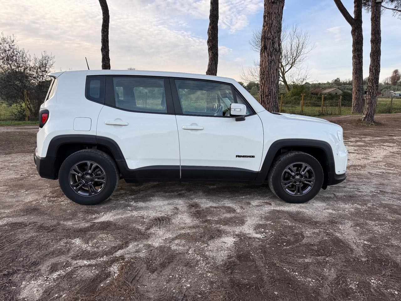 Jeep Renegade 1.0 T3 Longitude